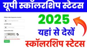 UP Scholarship